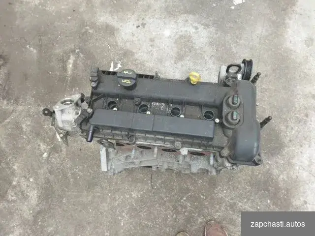 Купить Двигатель Ford Focus 3 хэтчбек 2.0 duratec 2010