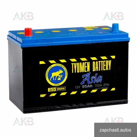 Аккумулятор tyumen BATTERY Asia 6CT-95L