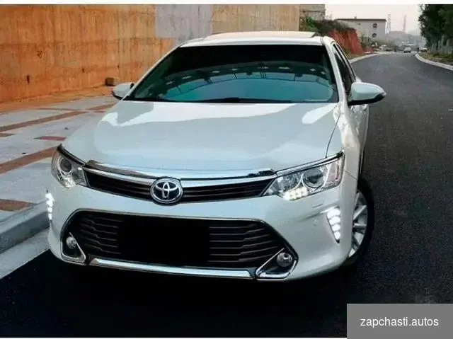 Дхо Camry 55 ёлочки LED три режима #2 купить