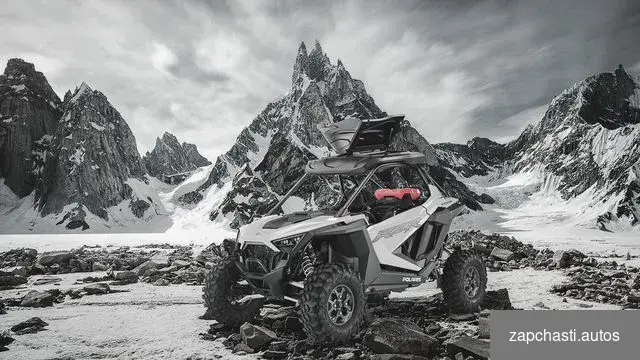 Купить Крыша кофр для polaris RZR PRO XP