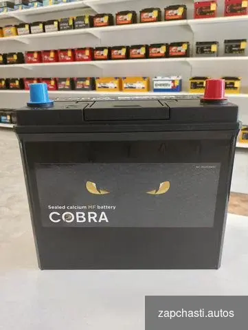 Купить Аккумулятор cobra 55Ah Новый